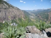 Wildflowers and view of Telluride, just after completing